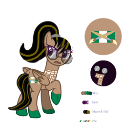 Size: 1280x1280 | Tagged: safe, artist:snowstorm9423cc, imported from derpibooru, oc, oc only, oc:kamsey, pegasus, pony, clothes, female, glasses, mare, pegasus oc, ponysona, reference sheet, scarf, simple background, transparent background, vector