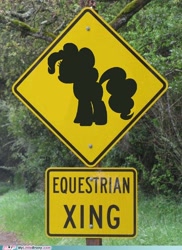 Size: 500x686 | Tagged: safe, imported from ponybooru, pinkie pie, earth pony, pony, crossing sign, equestrian crossing sign, irl, photo, sign, silhouette, solo