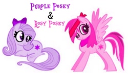 Size: 1230x720 | Tagged: safe, artist:lauren faust, edit, editor:pagiepoppie12345, imported from derpibooru, oc, oc:purple posey, oc:rosy posey, pegasus, pony, bandana, bow, fantasy class, female, hair bow, headband, recolor, siblings, sisters, smiling, the power-up ponies, twins, warrior, wings