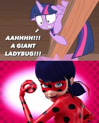 Size: 1080x1349 | Tagged: safe, artist:luigigamer25, edit, edited screencap, imported from derpibooru, screencap, twilight sparkle, alicorn, human, pony, starlight the hypnotist, spoiler:interseason shorts, bodysuit, clothes, coccinellidaephobia, female, ladybug (miraculous ladybug), mare, marinette dupain-cheng, mask, miraculous ladybug, open mouth, pigtails, scared, smiling, teeth, twilight hates ladybugs, twilight is afraid of miraculous ladybug, twilight sparkle (alicorn), yo-yo