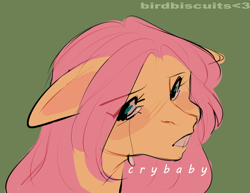 Size: 1000x773 | Tagged: safe, artist:birdbiscuits, imported from derpibooru, fluttershy, pegasus, pony, crying, eye clipping through hair, eyebrows, eyebrows visible through hair, female, looking at you, mare, solo