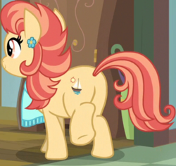 Size: 1180x1114 | Tagged: safe, imported from derpibooru, screencap, aunt holiday, earth pony, pony, season 9, the last crusade, spoiler:s09, butt, female, holibutt, mare, plot