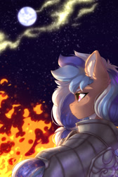 Size: 1584x2359 | Tagged: safe, artist:shini951, imported from derpibooru, oc, oc:blueberry muffin, earth pony, pony, armor, commission, fire, moon, night, solo, stars, ych result