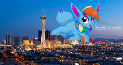 Size: 2710x1440 | Tagged: safe, artist:rainbow eevee, imported from ponybooru, rainbow dash, oc, oc:rainbow eevee, eevee, city, cute, dialogue, excited, female, highrise ponies, irl, las vegas, looking up, nevada, night, open mouth, photo, pokémon, solo, species swap, stratosphere tower, united states, vacation