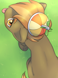 Size: 2928x3943 | Tagged: safe, artist:aquoquoo, imported from derpibooru, button mash, earth pony, pony, ;p, buttonbetes, colt, cute, high res, looking up, male, one eye closed, overhead view, solo, tongue out