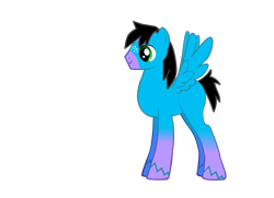 Size: 900x650 | Tagged: safe, artist:jesse220, imported from derpibooru, oc, oc only, oc:brandon, pegasus, pony, pony creator, black mane, black tail, blue fur, male, simple background, solo, stallion, transparent background