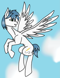 Size: 925x1200 | Tagged: safe, alternate version, artist:agdapl, imported from derpibooru, oc, oc only, oc:white quartz, pegasus, pony, flying, looking back, male, pegasus oc, solo, stallion, wings