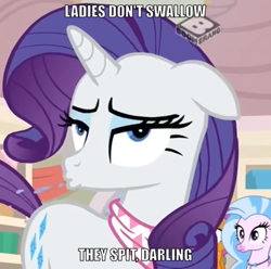 Size: 570x565 | Tagged: safe, edit, edited screencap, imported from derpibooru, screencap, rarity, silverstream, smolder, dragon, hippogriff, pony, unicorn, the end in friend, bandana, blatant lies, boomerang (tv channel), cropped, dragoness, female, horses doing horse things, innuendo, mare, maturity, neckerchief, nickering, snorting, solo focus, spit, store