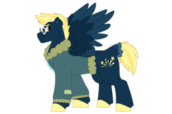 Size: 1280x854 | Tagged: safe, artist:itstechtock, imported from derpibooru, oc, oc only, oc:stellar bolt, pegasus, pony, bomber jacket, clothes, jacket, male, offspring, parent:lightning dust, parent:star hunter, shorn fetlocks, simple background, solo, stallion, sunglasses, two toned wings, white background, wings