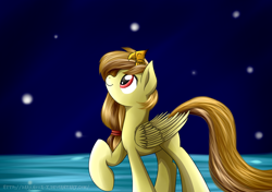 Size: 1024x720 | Tagged: dead source, safe, artist:mercurycraft7, imported from derpibooru, oc, oc only, oc:alice, oc:alice goldenfeather, bird, pegasus, pony, baby phoenix, eyes closed, female, folded wings, long tail, looking up, mare, night, night sky, pegasus oc, sky, solo, stars, wings