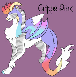 Size: 1280x1295 | Tagged: safe, artist:silver-ops, imported from derpibooru, oc, oc only, oc:cripps pink, draconequus, hybrid, draconequus oc, interspecies offspring, magical gay spawn, male, offspring, parent:big macintosh, parent:discord, parents:discomac, purple background, simple background, solo