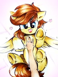 Size: 2075x2781 | Tagged: safe, artist:liaaqila, imported from derpibooru, oc, oc only, oc:buttercup, human, pegasus, pony, bellyrubs, chest fluff, commission, hand, high res, human on pony petting, male, offscreen character, petting, solo, stallion, underhoof