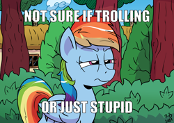 Size: 3070x2171 | Tagged: safe, artist:pony-berserker, imported from derpibooru, rainbow dash, pegasus, pony, caption, exploitable meme, fry meme, futurama, high res, image macro, meme, not sure if, poe's law, ponyville, reaction image, text