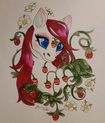 Size: 640x749 | Tagged: safe, artist:creeate97, imported from derpibooru, sugarberry, earth pony, pony, female, food, g1, mare, simple background, solo, strawberry, traditional art, white background