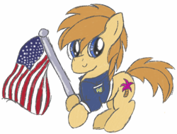 Size: 918x699 | Tagged: safe, artist:pegasski, imported from derpibooru, oc, oc only, earth pony, pony, clothes, earth pony oc, flag, male, simple background, smiling, solo, stallion, united states, white background