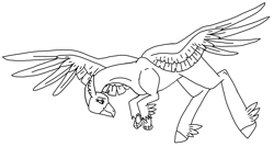 Size: 3326x1786 | Tagged: safe, artist:agdapl, imported from derpibooru, oc, oc only, classical hippogriff, hippogriff, base, feathered fetlocks, flying, high res, hippogriff oc, lineart, looking down, monochrome, solo