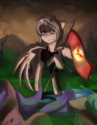 Size: 1540x1980 | Tagged: source needed, useless source url, safe, artist:yuris, imported from derpibooru, oc, oc only, oc:light knight, pegasus, equestria at war mod, attack of the dead men, cyrillic, empire, equestrian flag, flag, gas, gas attack, history, poisonous, russia, russian, sabaton, war, war never changes