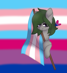 Size: 1051x1144 | Tagged: safe, artist:froyo15sugarblast, artist:nocturnal-moonlight, imported from derpibooru, oc, oc only, oc:penny apple, earth pony, pony, base used, bisexual, bisexual pride flag, eye clipping through hair, female, flag, heart, lgbt, lgbt flag, lgbtq, mare, pride, pride flag, pride month, shading, smiling, solo, trans female, transgender, transgender pride flag