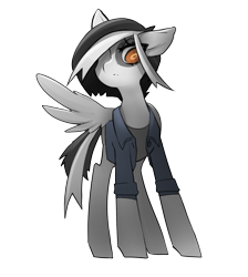 Size: 1505x1682 | Tagged: safe, artist:starlightspark, imported from derpibooru, spot, oc, oc only, oc:serendipity, pegasus, pony, clothes, crisis equestria, female, filly, jacket, pegasus oc, simple background, solo, transparent background, wings