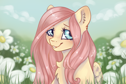 Size: 1440x960 | Tagged: safe, artist:fanaticpanda, imported from derpibooru, fluttershy, pegasus, pony, bust, chest fluff, cute, ear fluff, female, flower, flower field, grass, mare, shyabetes, smiling, solo