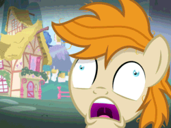 Size: 960x720 | Tagged: safe, artist:pizzamovies, imported from derpibooru, oc, oc only, oc:pizzamovies, earth pony, pony, animated, male, meme, messy mane, ponyville, reaction image, screaming, solo, stallion
