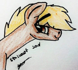 Size: 560x501 | Tagged: safe, artist:beamybutt, imported from derpibooru, oc, oc only, earth pony, pony, bust, earth pony oc, signature, smiling, solo, traditional art