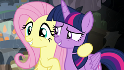 Size: 1920x1080 | Tagged: safe, imported from derpibooru, screencap, fluttershy, twilight sparkle, alicorn, pegasus, pony, a health of information, season 7, duo, female, grin, mare, smiling, twilight sparkle (alicorn)