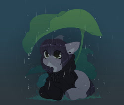 Size: 1401x1191 | Tagged: safe, artist:zilya-lya, imported from derpibooru, oc, oc only, earth pony, pony, clothes, ear fluff, ear piercing, earring, grass, hoodie, jewelry, leaf, lying down, piercing, prone, rain, solo, water, wet