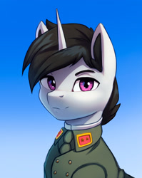 Size: 2743x3442 | Tagged: safe, artist:mrscroup, imported from derpibooru, oc, oc only, oc:lucky roll, pony, equestria at war mod, bust, clothes, high res, looking at you, portrait, solo, uniform