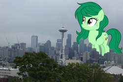 Size: 2048x1364 | Tagged: safe, artist:sirmlp1, imported from derpibooru, wallflower blush, earth pony, pony, cloud, cloudy, equestria girls ponified, female, giant pony, giantess, highrise ponies, irl, macro, photo, ponies in real life, ponified, seattle, washington
