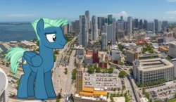 Size: 1722x1000 | Tagged: safe, artist:sirmlp1, imported from derpibooru, sky stinger, pegasus, pony, florida, giant pony, highrise ponies, irl, macro, male, miami, photo, ponies in real life, stallion
