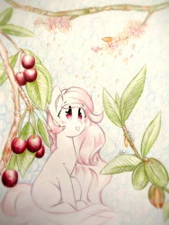 Size: 1920x2560 | Tagged: safe, artist:stardust0130, imported from derpibooru, oc, oc only, pegasus, pony, female, mare, solo