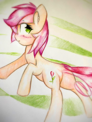 Size: 1920x2560 | Tagged: safe, artist:stardust0130, imported from derpibooru, roseluck, earth pony, pony, blushing, female, mare, solo