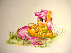 Size: 1920x1440 | Tagged: safe, artist:stardust0130, imported from derpibooru, scootaloo, pegasus, pony, blushing, clothes, cute, cutealoo, female, filly, scarf, solo