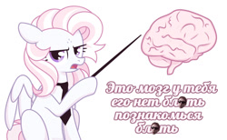 Size: 1280x791 | Tagged: safe, artist:petruse4ka, imported from derpibooru, oc, oc only, pegasus, pony, brain, cyrillic, eyelashes, female, mare, necktie, organs, pegasus oc, pointing, russian, simple background, solo, talking, unamused, vulgar, white background, wings