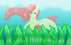 Size: 2000x1280 | Tagged: safe, artist:animeandanimallover3, imported from derpibooru, oc, oc only, merpony, seapony (g4), crepuscular rays, deviantart watermark, dorsal fin, female, flowing mane, green eyes, looking at you, not fluttershy, obtrusive watermark, ocean, red mane, seaweed, solo, swimming, underwater, water, watermark