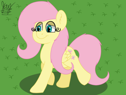 Size: 1600x1200 | Tagged: safe, artist:jay_wackal, imported from derpibooru, fluttershy, pegasus, pony, cute, daaaaaaaaaaaw, shyabetes, solo, walking