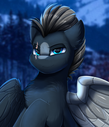 Size: 2582x3003 | Tagged: safe, artist:pridark, imported from derpibooru, oc, oc only, pegasus, pony, amputee, artificial wings, augmented, blue eyes, commission, eye scar, high res, lidded eyes, looking at you, male, night, night sky, pegasus oc, prosthetic limb, prosthetic wing, prosthetics, scar, sky, smiling, smiling at you, smirk, solo, stallion, wings