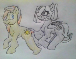 Size: 1932x1500 | Tagged: safe, artist:midday sun, imported from derpibooru, oc, oc:midday sun, oc:two tone, earth pony, pegasus, cutie mark, freckles, glasses, traditional art