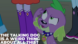 Size: 1280x720 | Tagged: safe, edit, edited screencap, editor:quoterific, imported from derpibooru, screencap, spike, dog, equestria girls, equestria girls (movie), boots, clothes, collar, dog collar, female, legs, male, offscreen character, open mouth, pictures of legs, shoes, spike the dog