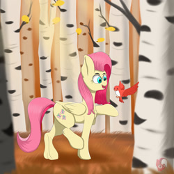 Size: 1280x1280 | Tagged: safe, artist:joaothejohn, imported from derpibooru, fluttershy, bird, pegasus, pony, birch, birch tree, forest, solo, tree