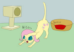 Size: 1920x1358 | Tagged: safe, artist:darkdabula, imported from derpibooru, fluttershy, cat, catified, female, fluttercat, hissing, solo, species swap