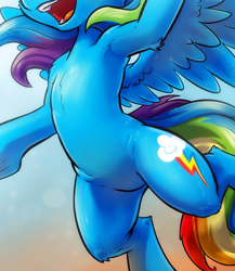 Size: 514x592 | Tagged: safe, artist:kp-shadowsquirrel, edit, imported from derpibooru, rainbow dash, pegasus, pony, armpits, belly, chest fluff, cropped, featureless crotch, open mouth, pictures of bellies, solo