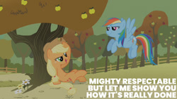 Size: 1280x720 | Tagged: safe, edit, edited screencap, editor:quoterific, imported from derpibooru, screencap, applejack, rainbow dash, earth pony, pegasus, pony, fall weather friends, season 1, apple, apple tree, applejack's hat, cowboy hat, female, flying, hat, looking at each other, mare, open mouth, open smile, smiling, smiling at each other, smirk, tree