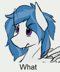 Size: 326x391 | Tagged: safe, artist:lux, imported from ponybooru, oc, oc only, oc:delta dart, hippogriff, angry, animated, copypasta, meme, navy seal copypasta, no source available, solo