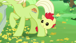 Size: 1280x720 | Tagged: safe, imported from derpibooru, screencap, bright mac, granny smith, earth pony, pony, season 7, the perfect pear, :o, baby, baby pony, brightabetes, colt, cute, female, male, mare, offscreen character, open mouth