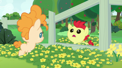 Size: 1280x720 | Tagged: safe, imported from derpibooru, screencap, bright mac, pear butter, earth pony, pony, season 7, the perfect pear, baby, baby pony, brightabetes, colt, cute, female, fence, filly, flower, male, open mouth, pearabetes