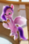 Size: 1141x1715 | Tagged: safe, imported from derpibooru, screencap, pipp petals, pegasus, pony, spoiler:my little pony: a new generation, 3d, adorapipp, beautiful, cellphone, cute, female, g5, mare, my little pony: a new generation, official, phone, smartphone, solo