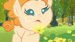 Size: 1280x720 | Tagged: safe, imported from derpibooru, screencap, pear butter, earth pony, pony, season 7, the perfect pear, baby, baby pony, female, filly, flower, food, open mouth, pear, solo, tree