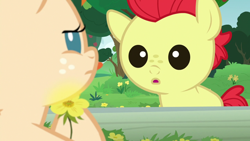 Size: 1280x720 | Tagged: safe, imported from derpibooru, screencap, bright mac, pear butter, earth pony, pony, season 7, the perfect pear, :o, baby, baby pony, brightabetes, colt, cute, female, fence, filly, flower, male, open mouth, tree